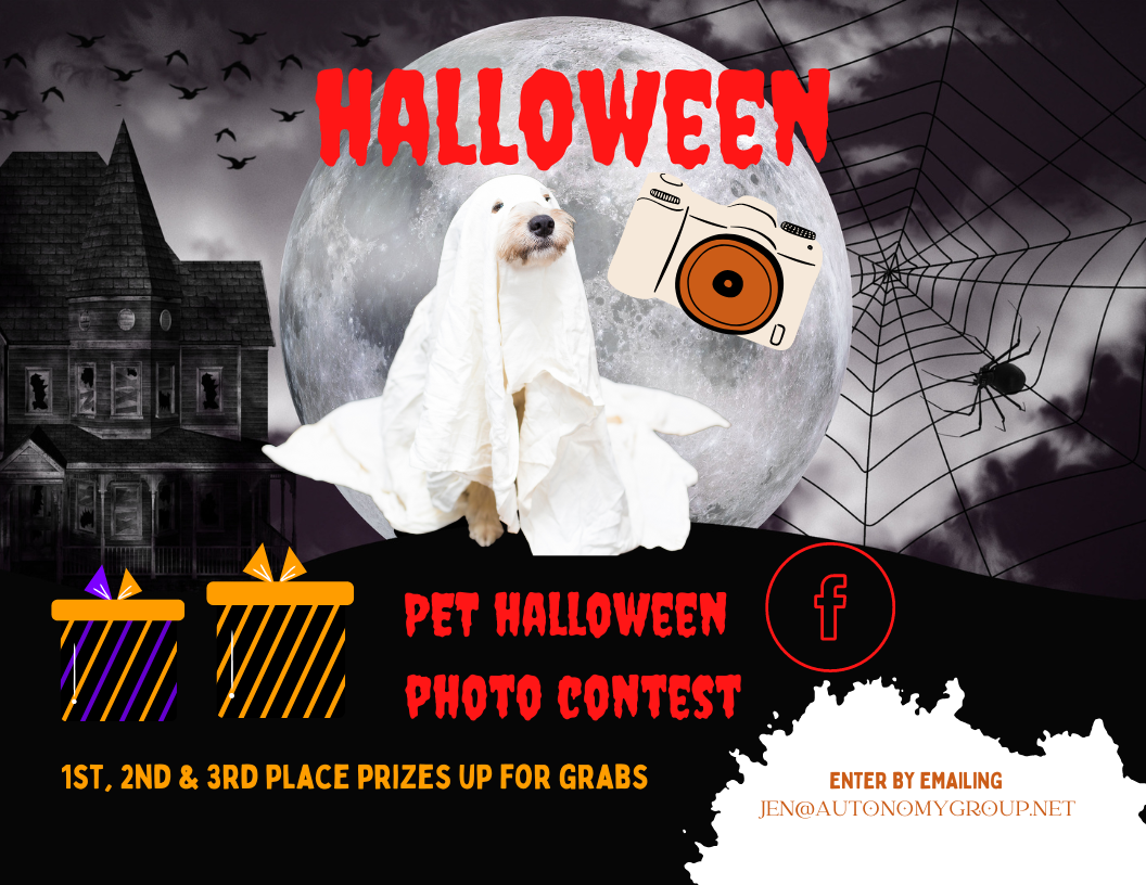 halloween pet contest